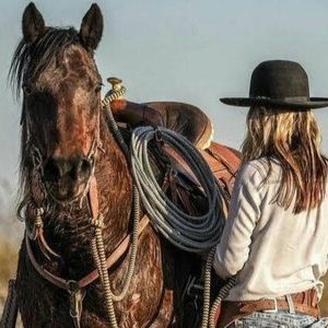 Meet your Posher, Karlie